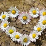 عشق